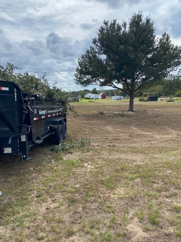 Dump trailer loaded with branches beside a trimmed tree