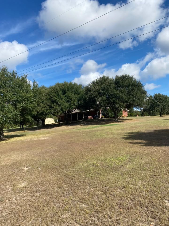 Mature trees surrounding a residential property