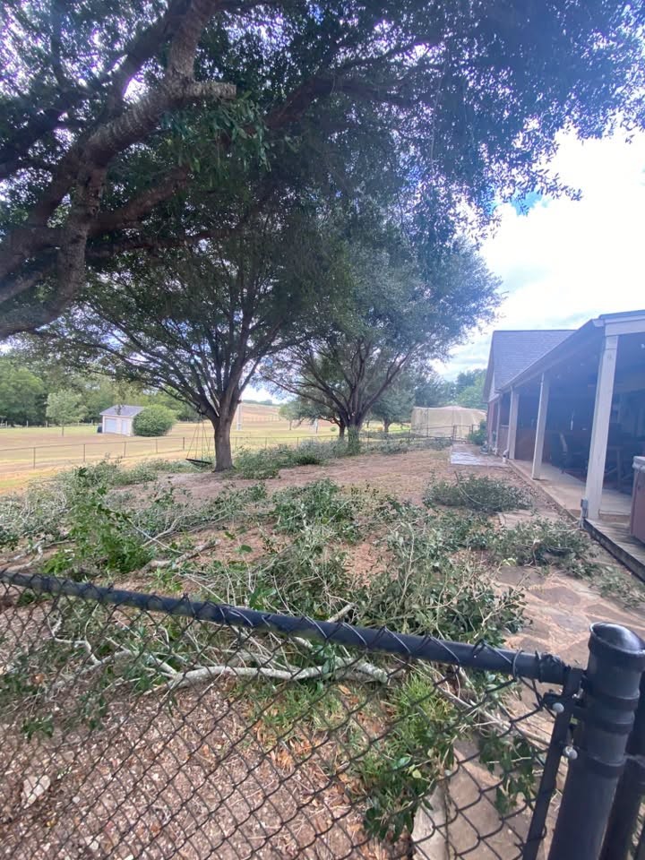 Branches ready for cleanup beside a home and fence